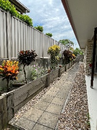 IMG 4657
