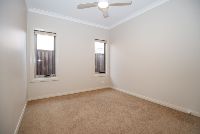 41 Mistfly St 7