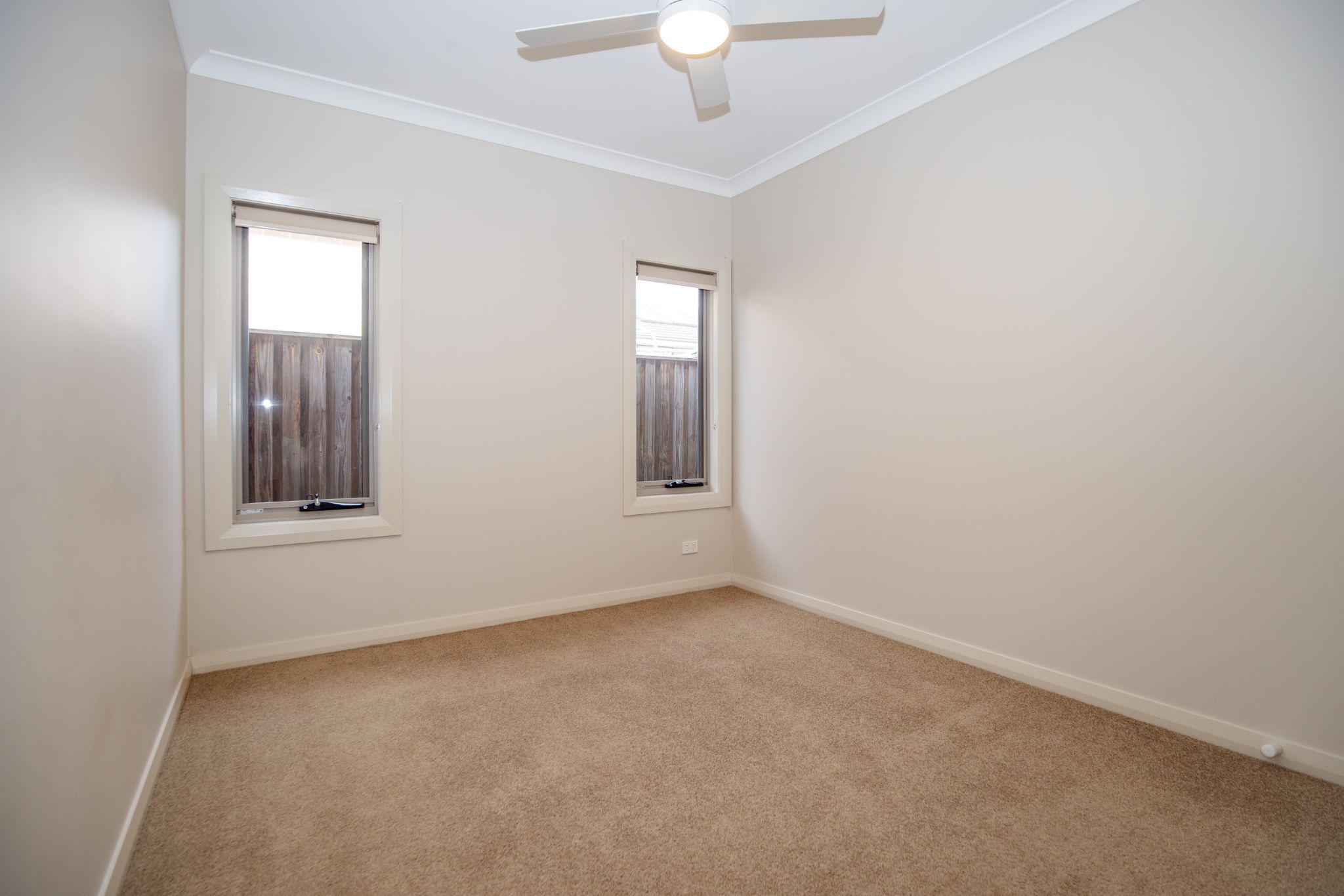 41 Mistfly St 7