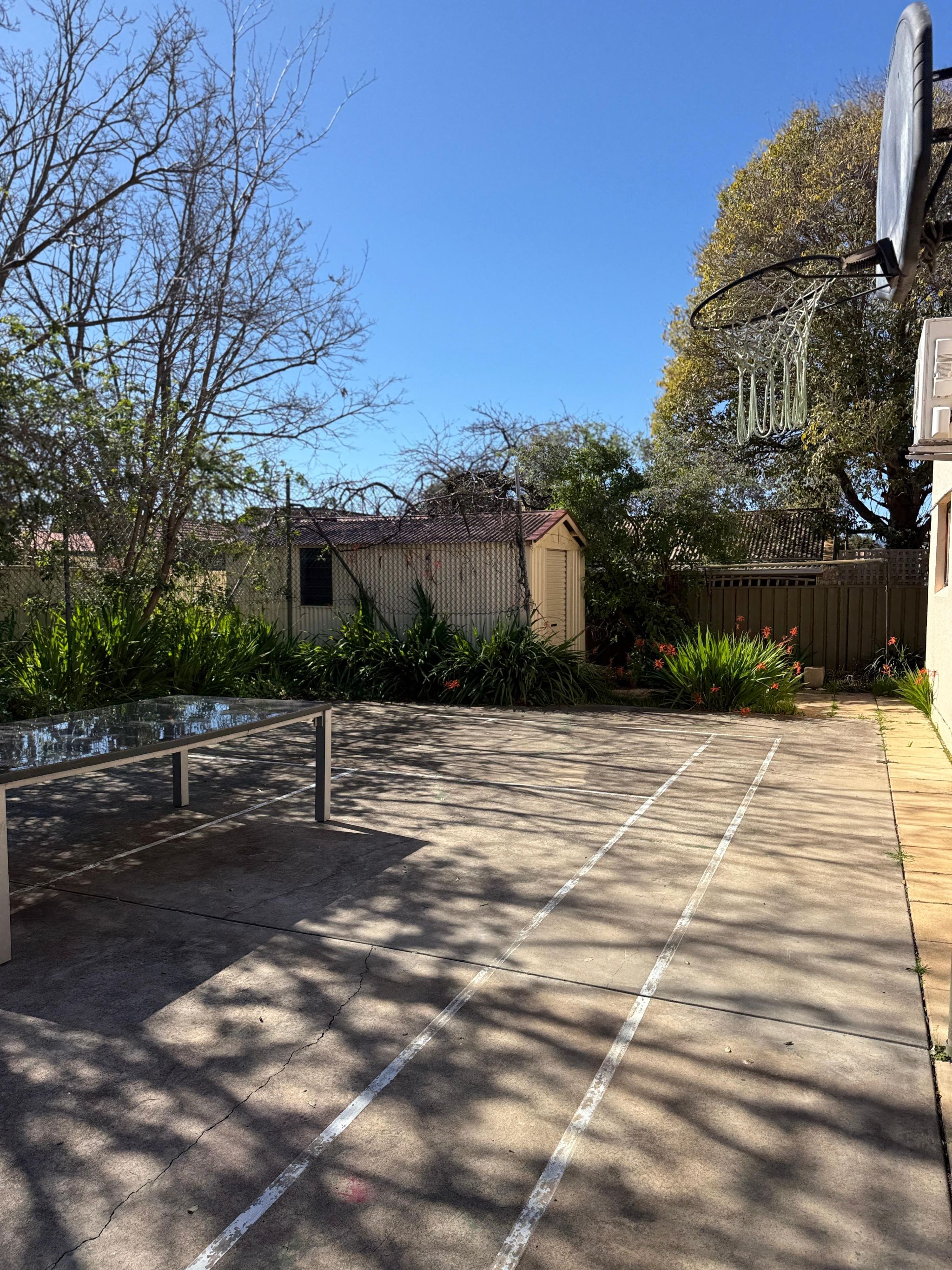 WhatsApp Image 2025 11-18 at 5.56.14 PM (8)