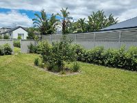 9  Backyard