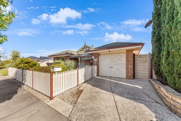 IMG 7555-min_optimized_1000