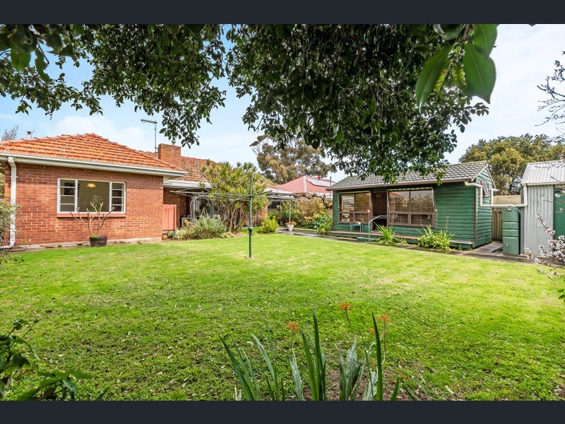 35 Ranelagh Street Glengowrie   Backyard Area