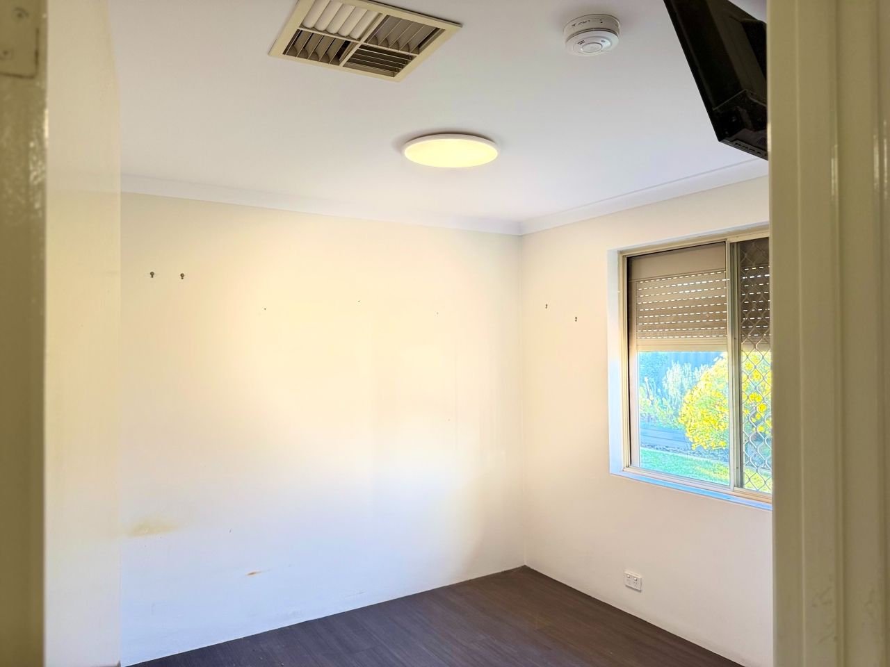 IMG 3313 (1)