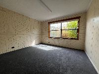 IMG 4342