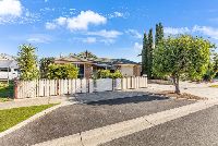 IMG 7540-min_optimized_1000