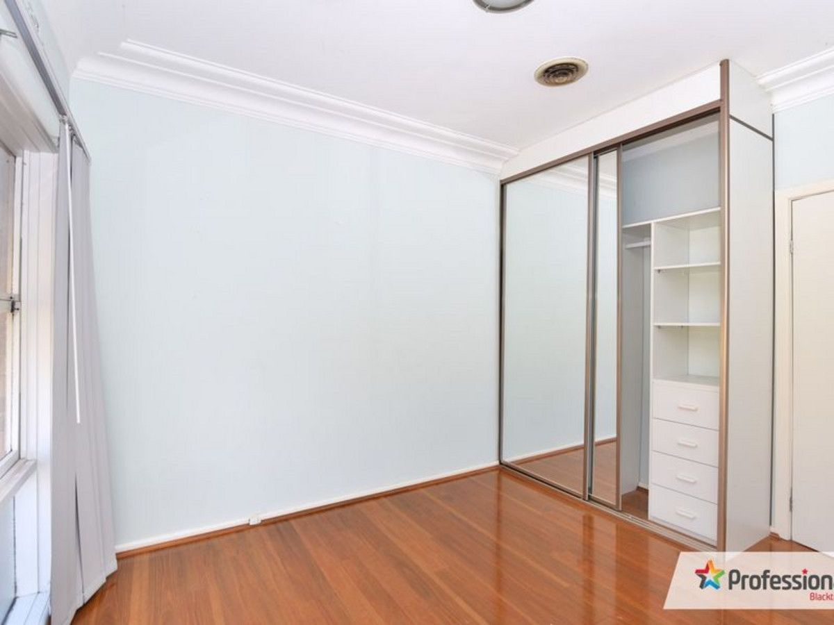 14765199 5_1_201211_035603-w1200-h900 (1)