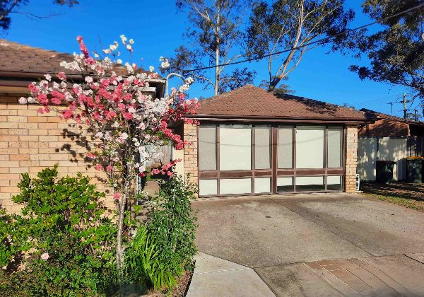 edited front garden   HH