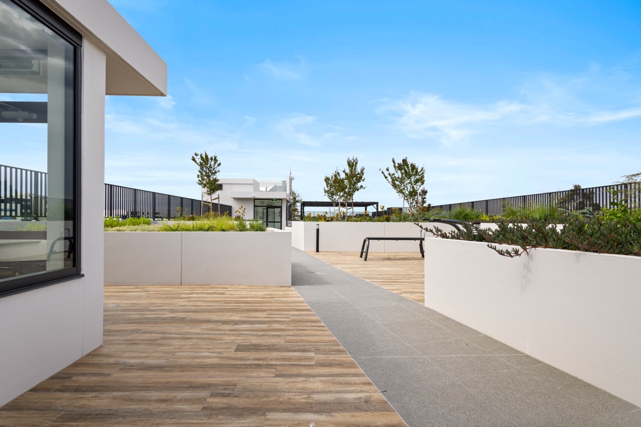 Vera Rouse-Hill-292 Large