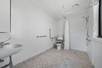 2) HPS 2 + 1 (Petun)