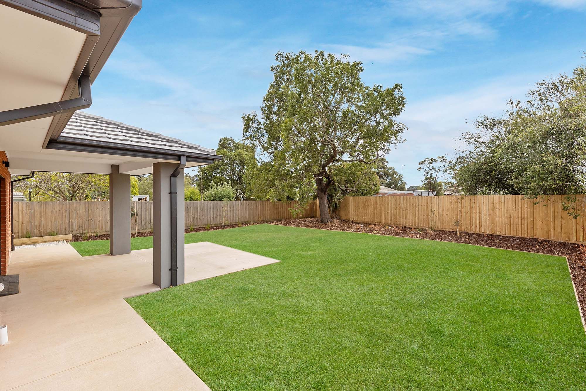 Waratah   Backyard 3 LR No Logo