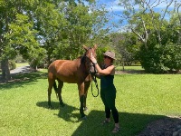 CA479A71 5FA5-42A7-A2E8-6EBE72038531