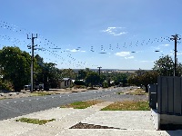 IMG 0826