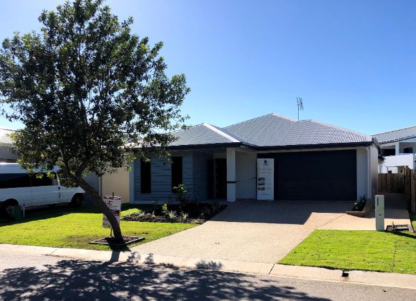 50 Champion Dve Front50