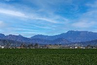 DSC02299