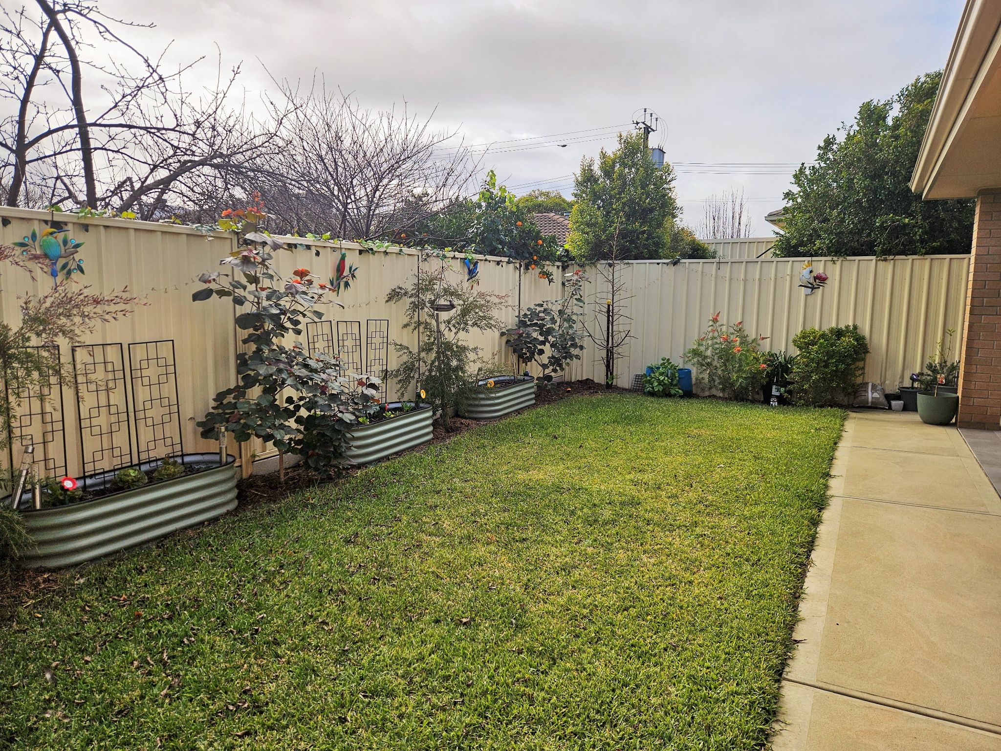 Rear Garden 8 25