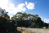 DSC02294