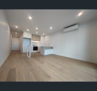 image  1)