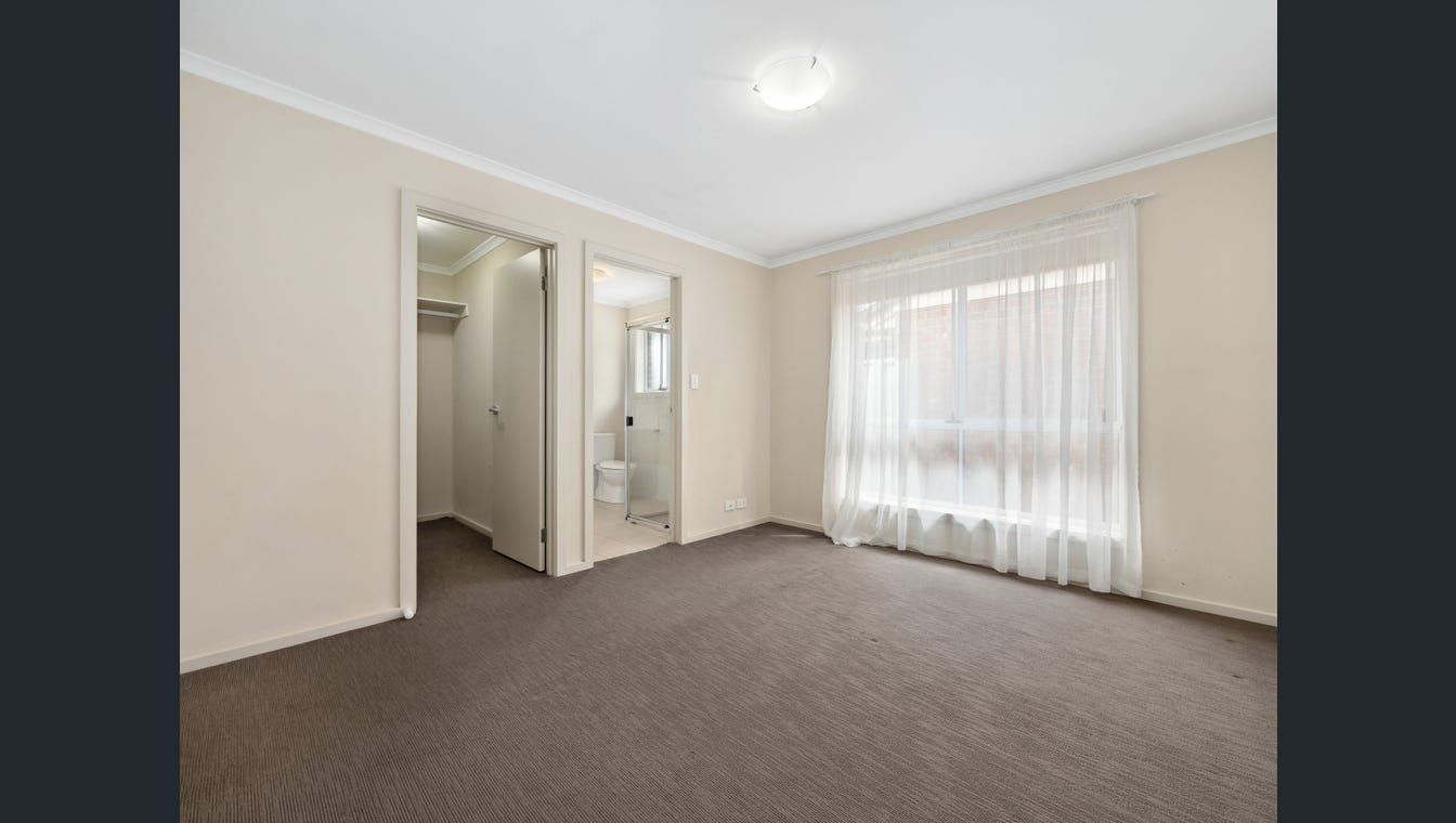 image  19)