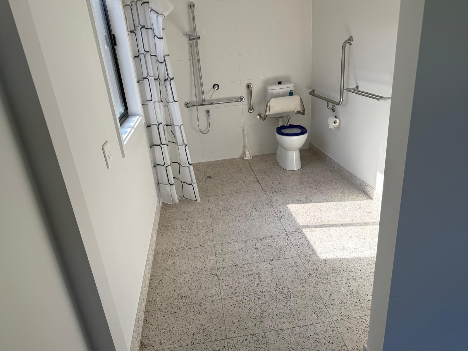 Disable toilet