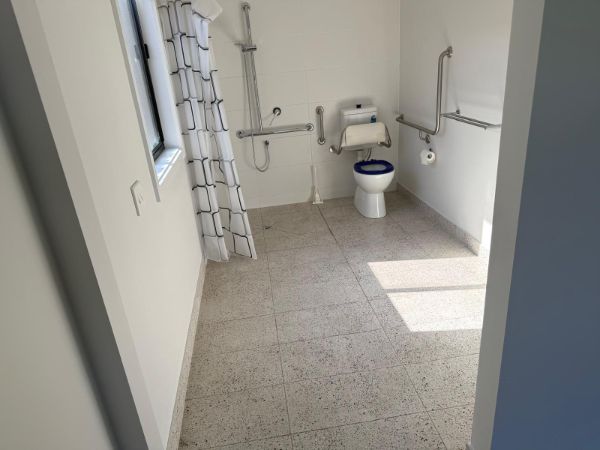 Disable toilet