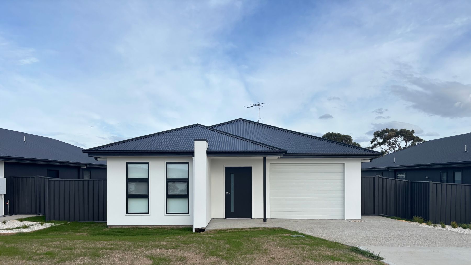 Adobe Express   file (2)