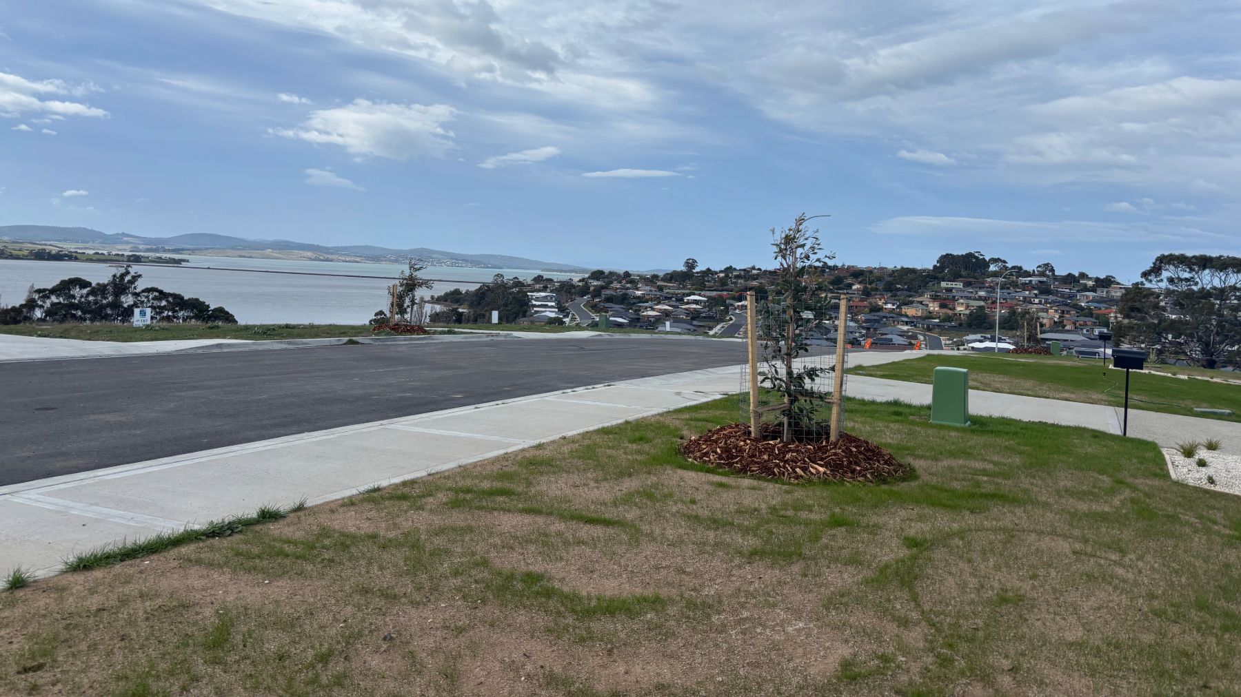 Adobe Express   file (9)