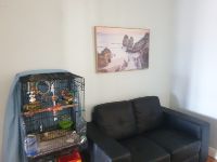 PHOTO 2024-01-16-18-32-54 3