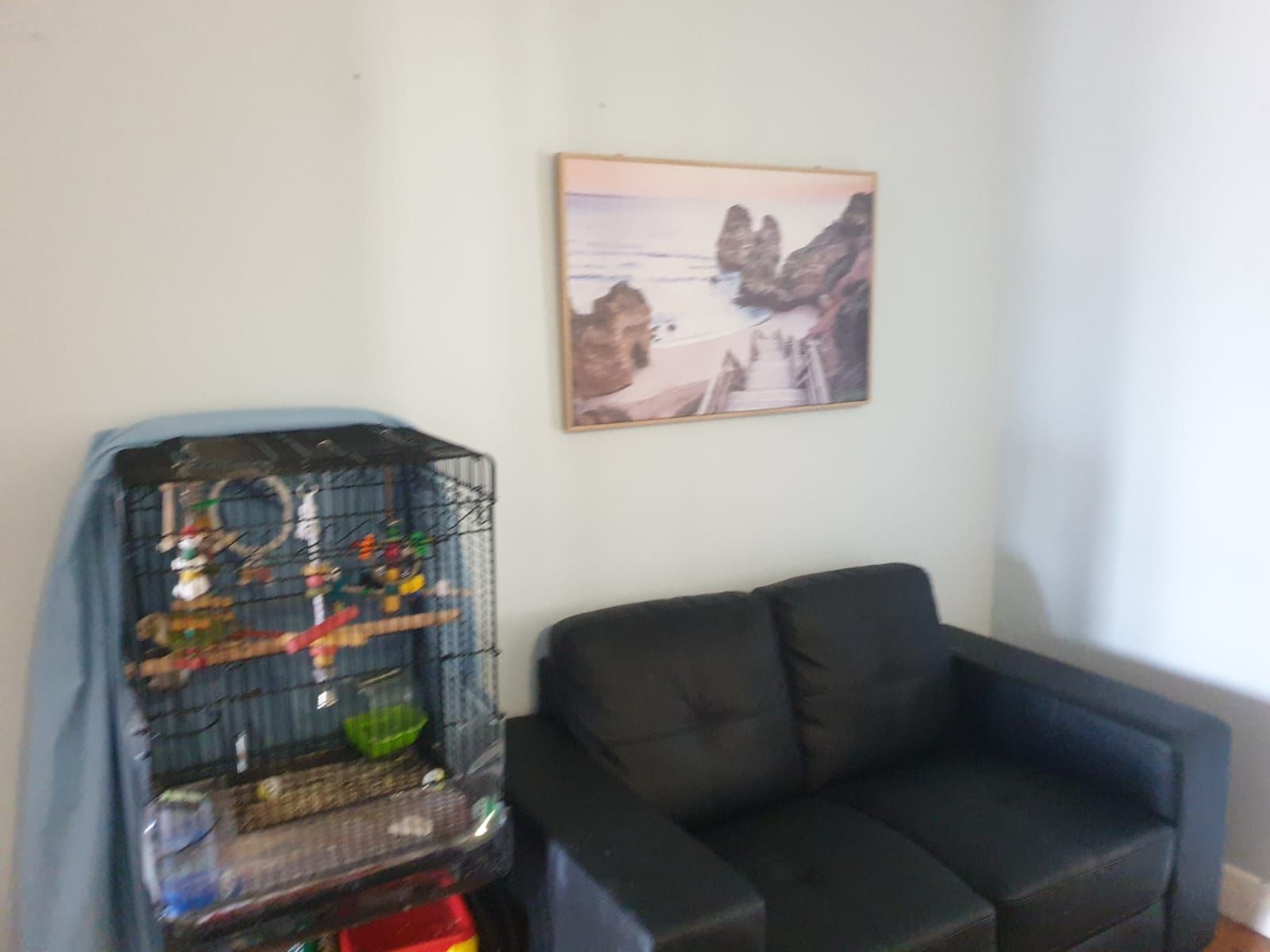 PHOTO 2024-01-16-18-32-54 3