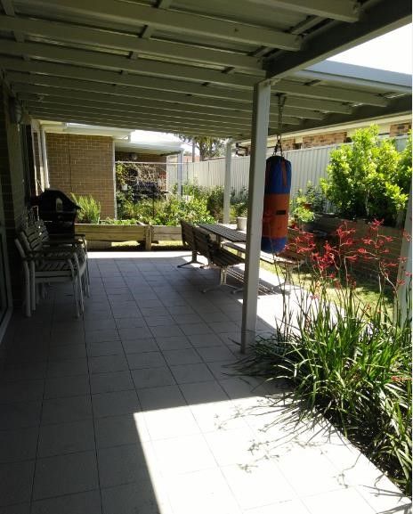 back garden