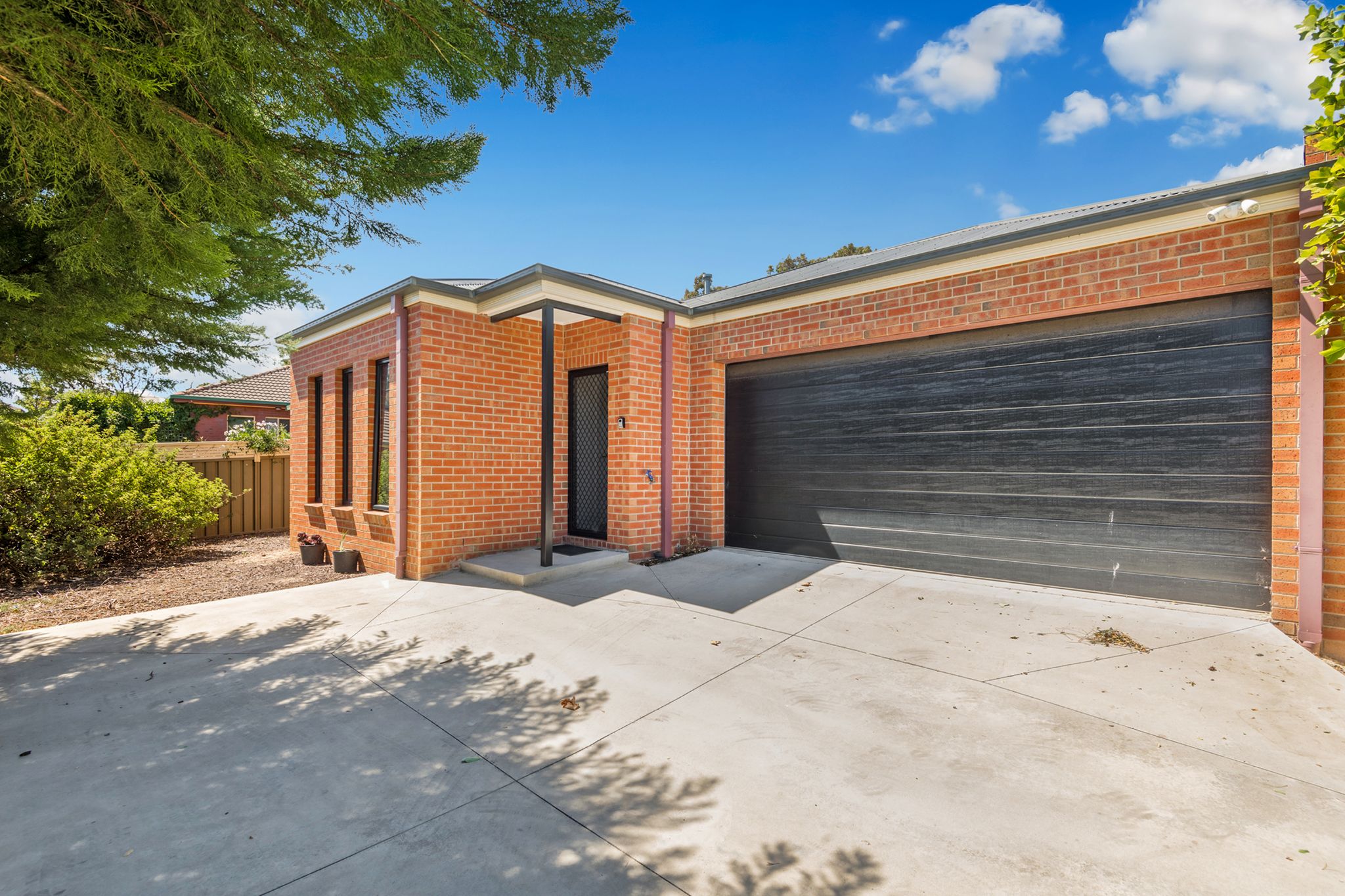 Myxa Strathdale McIvor SIL Front