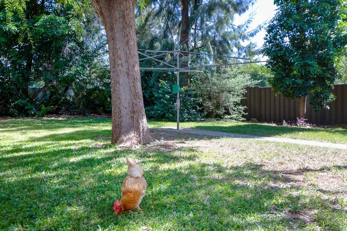 21077 12print_Web1200x800