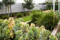 SILL038 LR-fletcher-backyard2