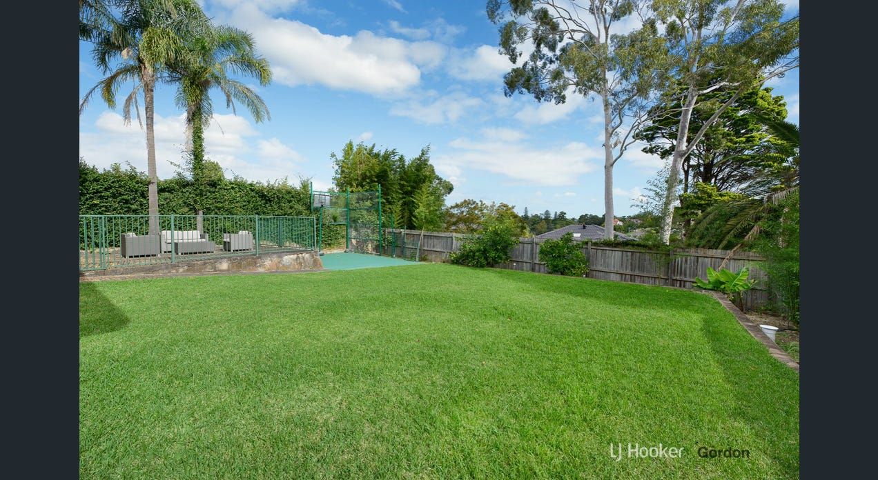 back garden