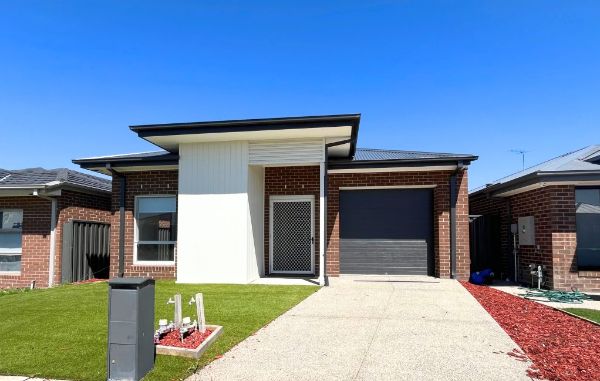 287db221 4e9e-4f19-a343-2d886a89abc8-1024x649