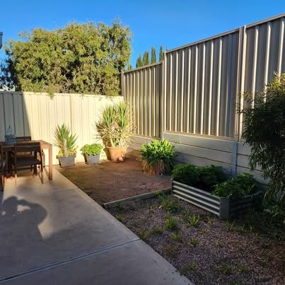 530672507 1289809509186817_1285509469726147190_n