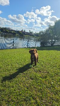 IMG 20250705-WA0030