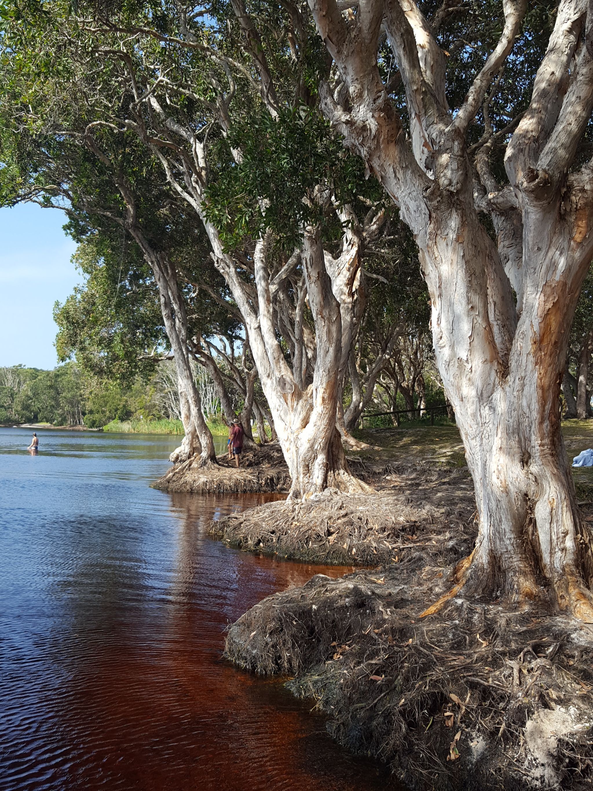 Respite @ Byron Care Stay beautiful NDIS out door activities in natureake Ainsworth 2 BCS
