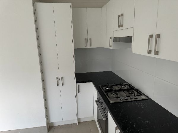 IMG 0186