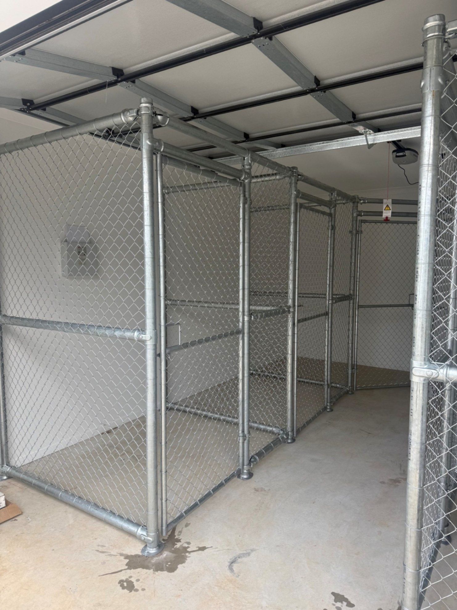 online image-compressor_online-image-compressor_glasshouse cage 2