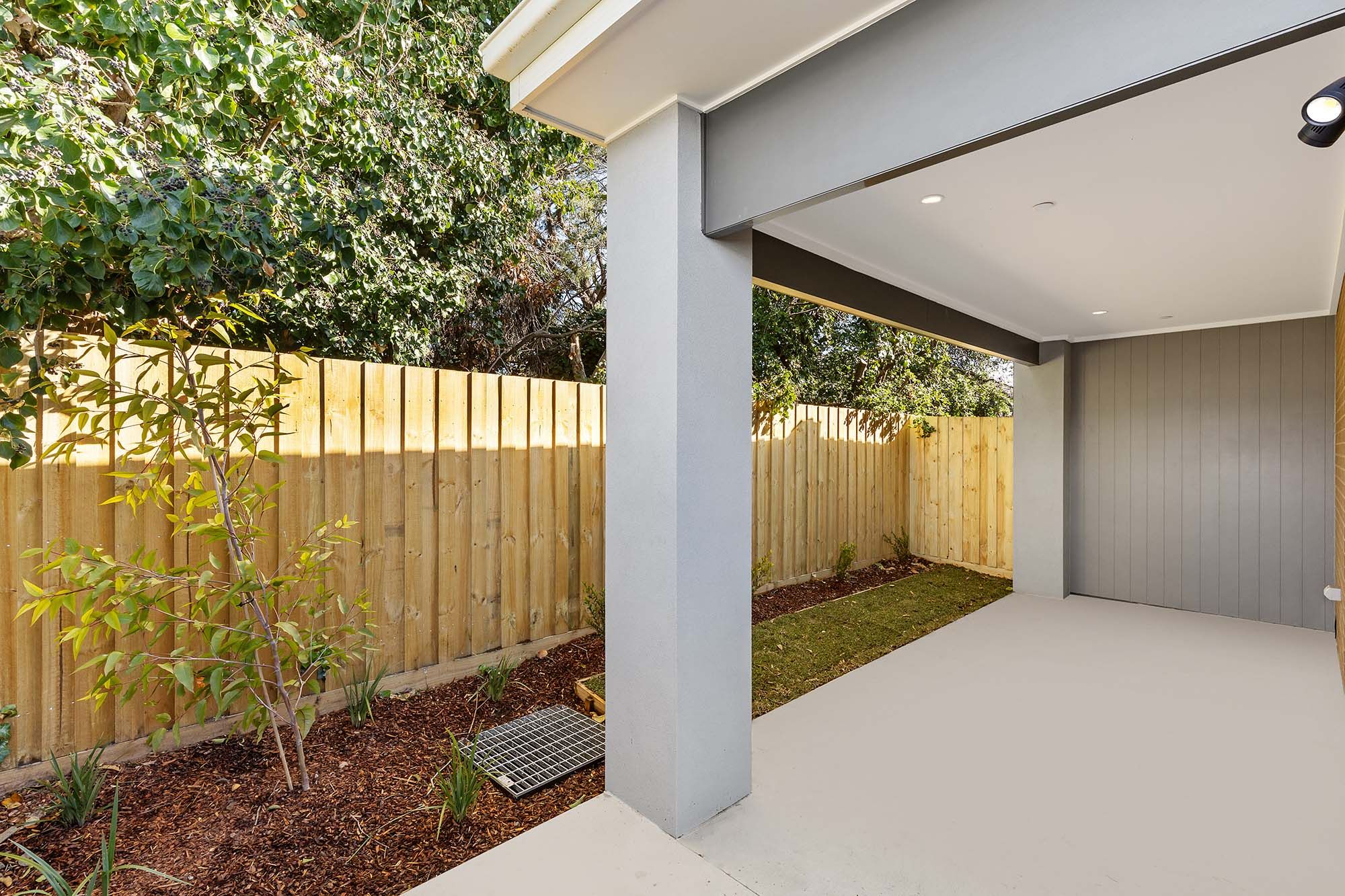 Scotch   Backyard 2 LR No Logo