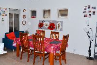 DSC 0239-2