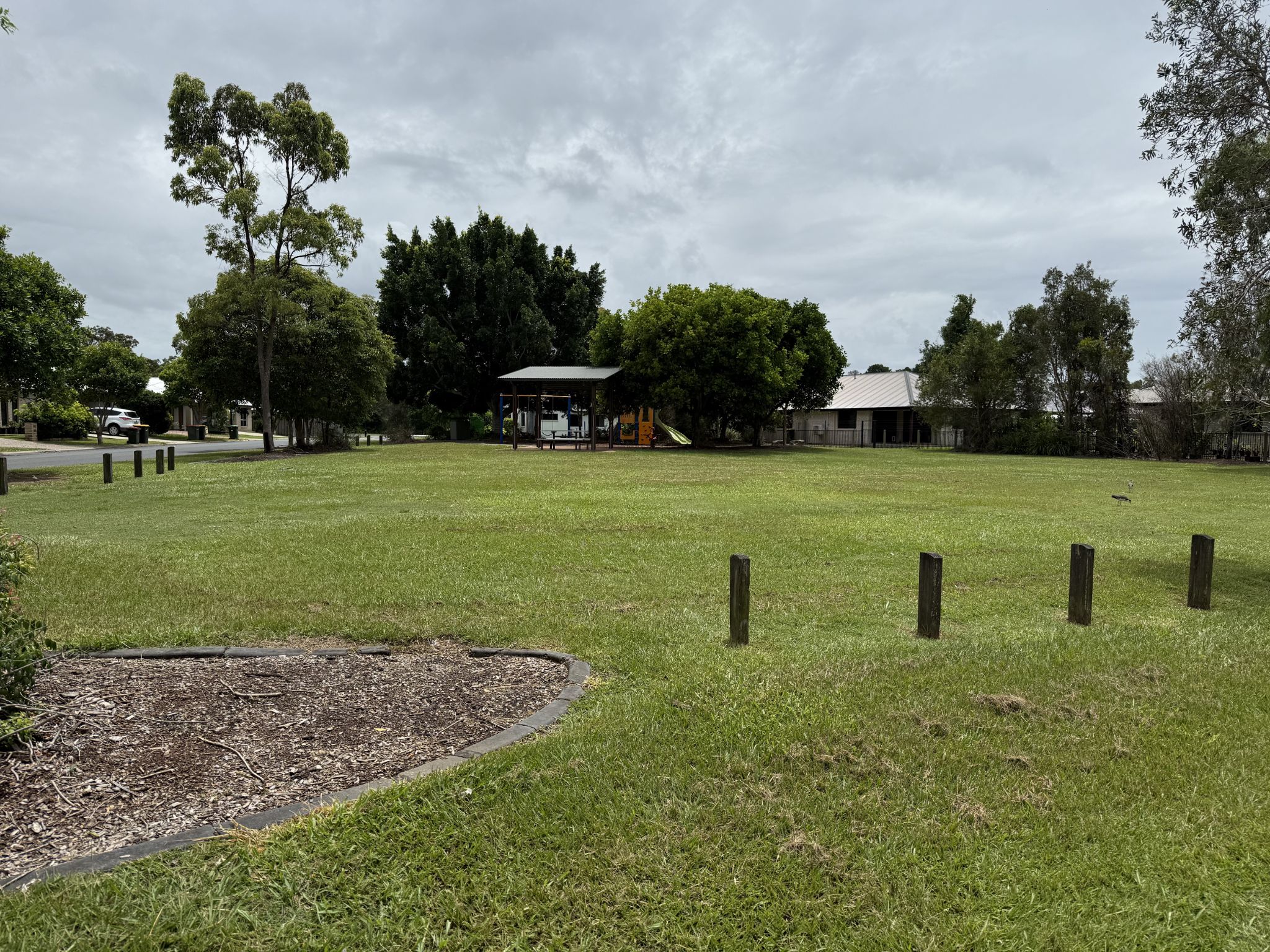 20250206 014203558_iOS