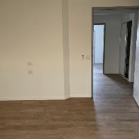 5 Gumtree  Ripley Room