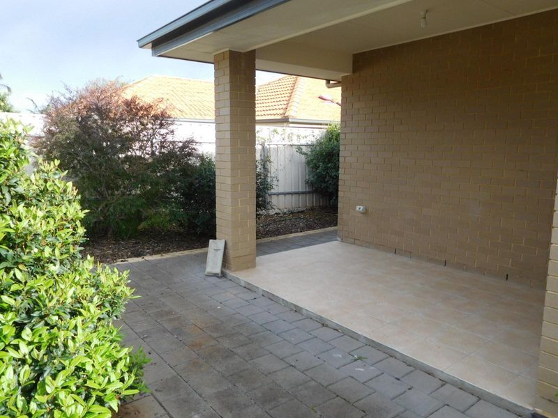 2b Vardon Street  backyard