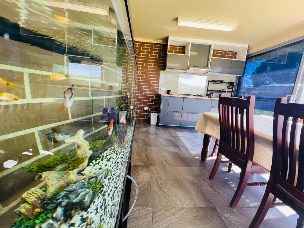 Afresco Entertainmant Area