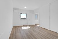 ART LENZ Image 81_2_3