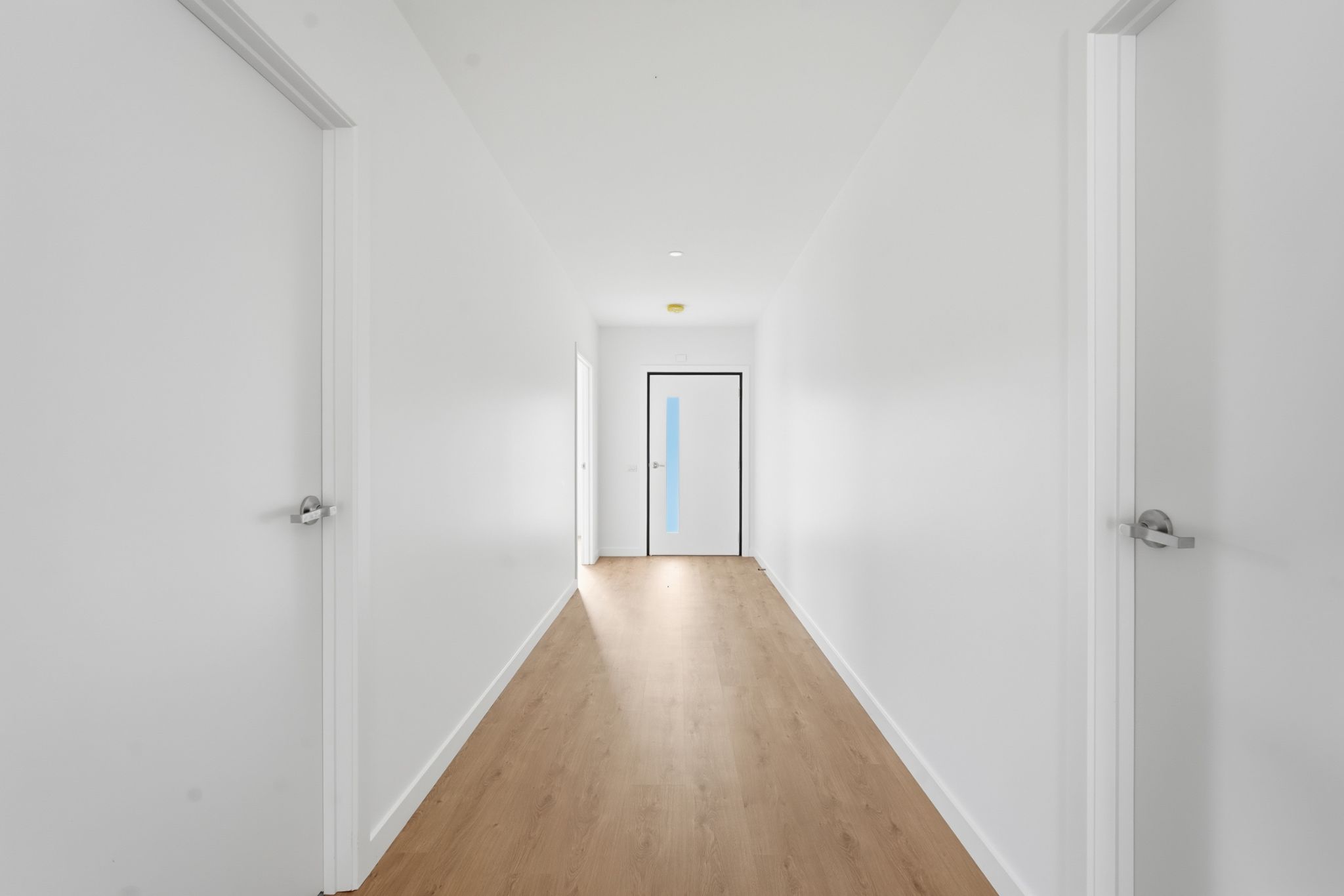 NC 24BluetongueDr_26