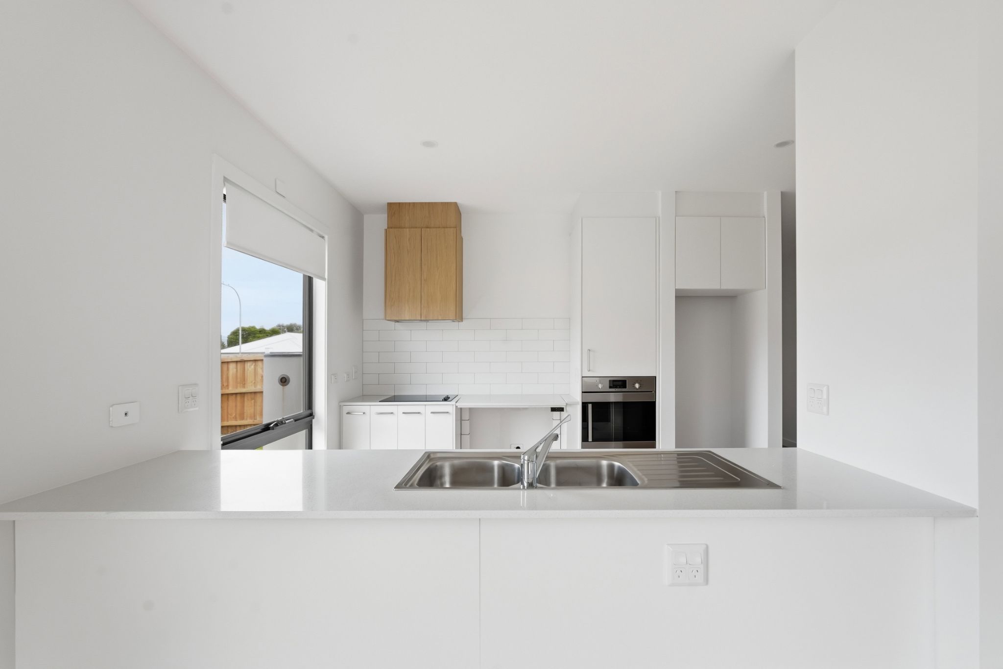 NC 24BluetongueDr_11