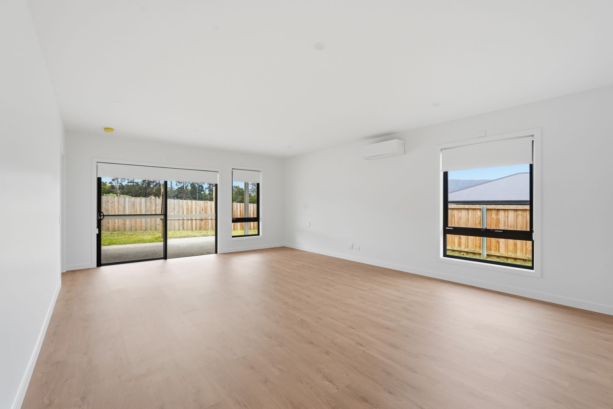 NC 24BluetongueDr_06